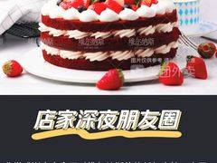 -维尔纳斯·生日蛋糕动物奶油冰淇淋蛋糕(人大店)
