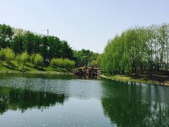 -长春公园(普阳街道)