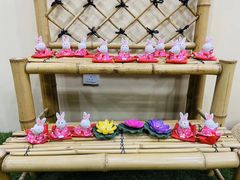 -白兔子密室(长寿路店)