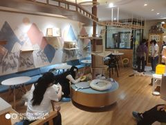 -滚猫咖啡·猫咖·猫友好撸猫(未来城店)