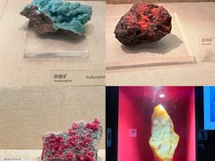 -广东省博物馆