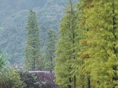 -广州市石门国家森林公园
