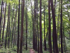 android_upload_pic-波尔登森林公园