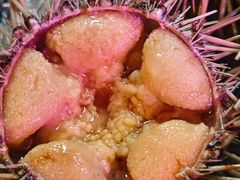 -三月居酒屋(青年大街店)