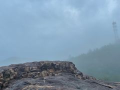 -广州白江湖森林公园