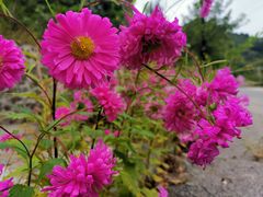 -蟠龙山长城景区