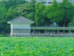 -荔湾湖公园