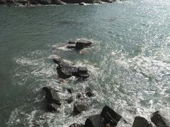 -枸杞岛