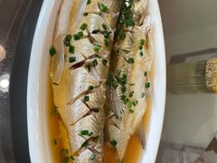 -呼吸森林·生态农庄农家乐私房菜