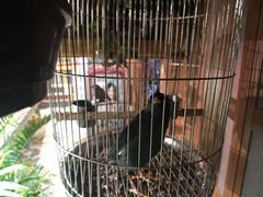 -西西里轰趴日租聚会别墅·团建拓展