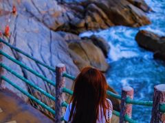 -广东惠东海龟国家级自然保护区