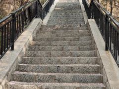 -樱花山风景区