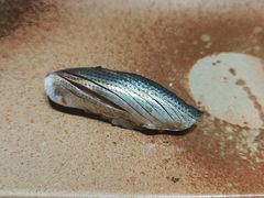 -荣一代目OMAKASE板前料理