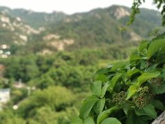 -葛子涧农家宴