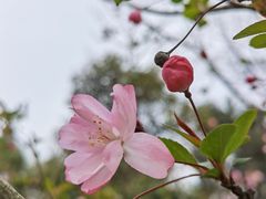 -中山公园