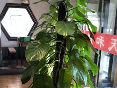 -天和晟新京菜.水煮鱼.湘土菜(国展店)