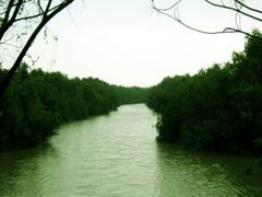-大湾区中央湿地公园
