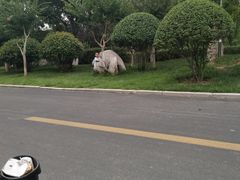 -临沂动植物园