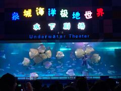 -泉城欧乐堡海洋极地世界