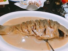 红烧黄河大鲤鱼-阿庄新豫菜(通泰路店)