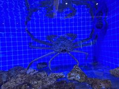 -聚宝渔港.五钻酒家(上地店)