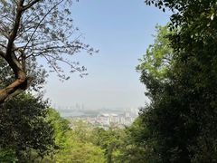 -紫金山山顶公园