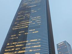 -上海柏悦酒店