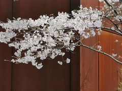 -龙美术馆(西岸馆)
