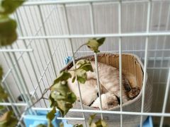 -花十悦·鲜花咖啡餐厅(振业城一期店)