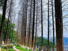 -食膳公园包子铺(烈士公园店)