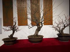 -苏州上方山国家森林公园