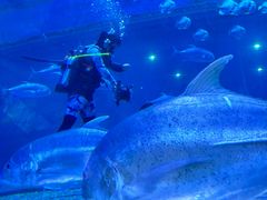 -华夏文旅海洋公园