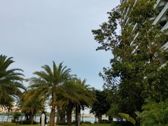 -海花岛旅游度假区