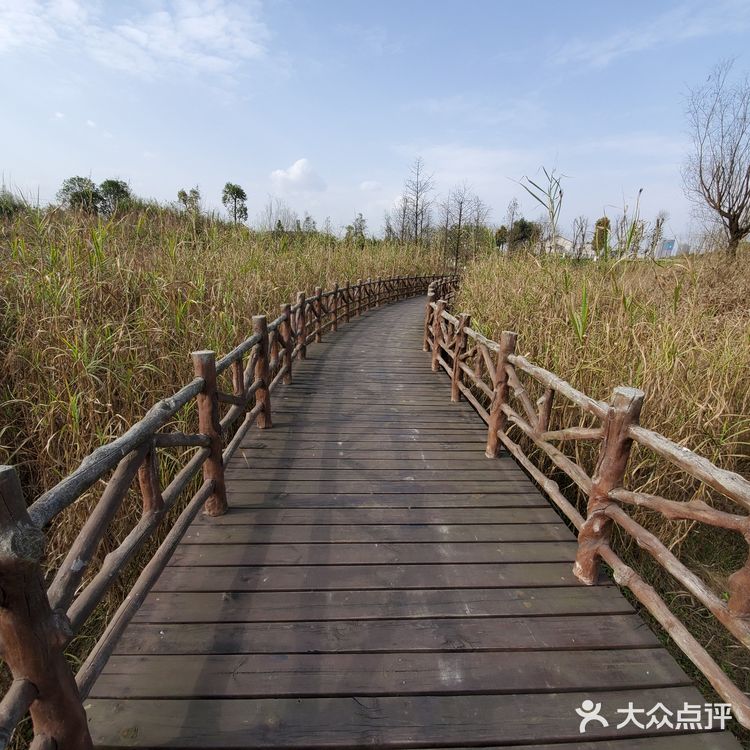 花房子湿地公园