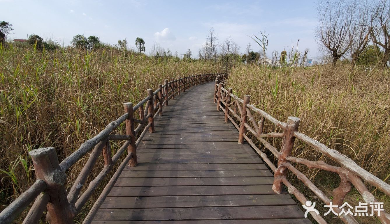 花房子湿地公园