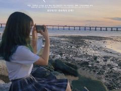 -宝安西湾红树林湿地公园