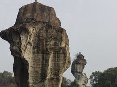 -鲁镇