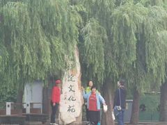 -白洋淀景区