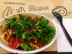 -油梨树 AVOCADO TREE(亮马桥店)