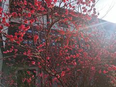 -上海皇廷花园酒店·西餐厅·自助餐