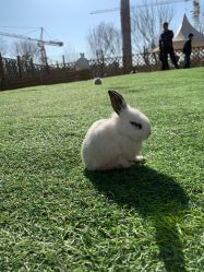 -萌宠亲子动物乐园(槐房万达店)