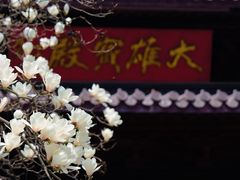 -灵谷景区