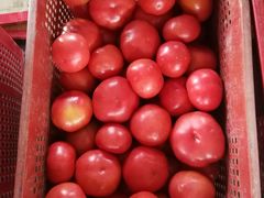 -江杨农产品批发市场