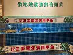 -西郊竹园甲鱼面(老一中店)