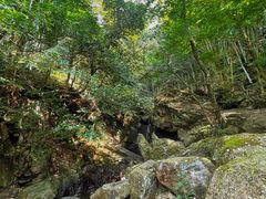 -藏龙百瀑风景区