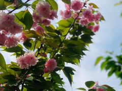 -十三陵水库