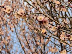 -蜀冈西峰生态公园