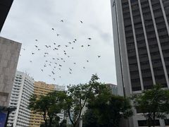 -中航城君尚购物中心