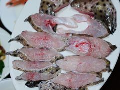 老鼠斑-凯华海鲜火锅·传承三十六年