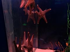 -多彩贵州城极地海洋世界